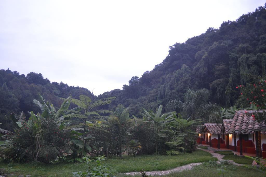 Hotel Eco La Jicarita 2*