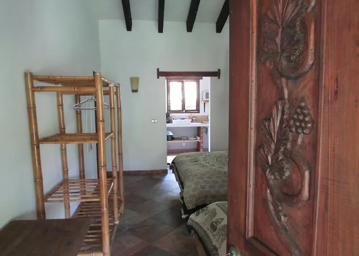 Eco Hotel La Jicarita