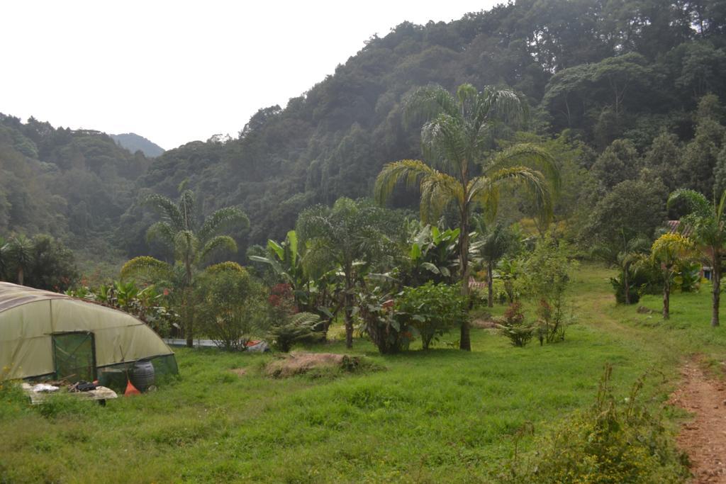 Hotel La Jicarita Eco Coatepec (Veracruz)