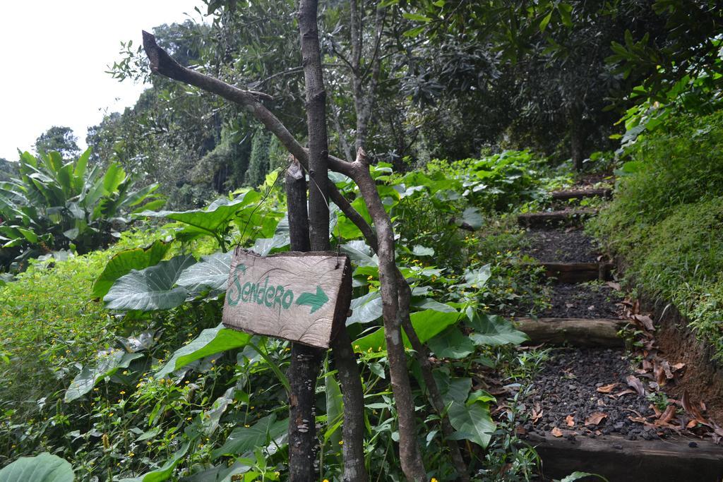 La Jicarita Eco 2* Coatepec (Veracruz)